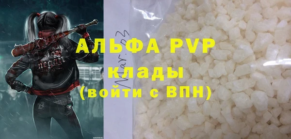 амф Елабуга
