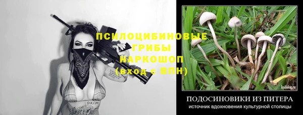 амф Елабуга