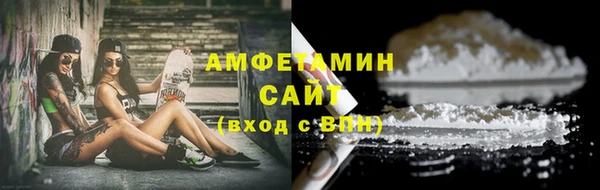 прущий лед Ельня