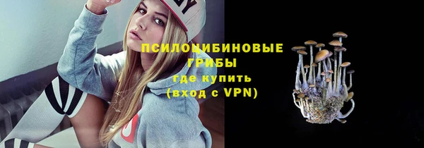 прущий лед Ельня