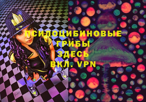 амф Елабуга