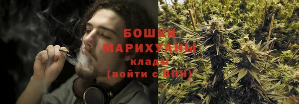 амф Елабуга