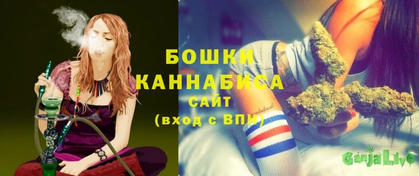 амф Елабуга