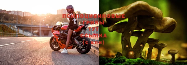 а пвп мука Елизово