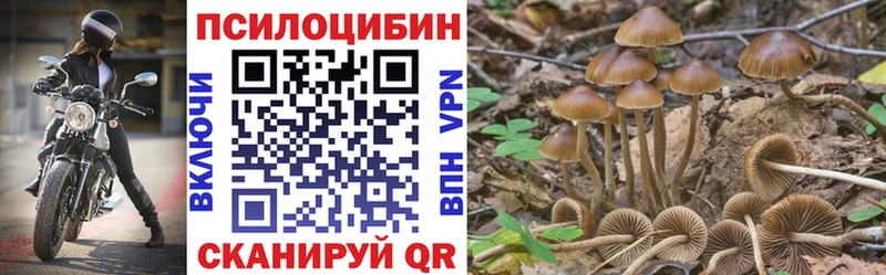 Псилоцибиновые грибы Psilocybe  darknet официальный сайт  Люберцы 